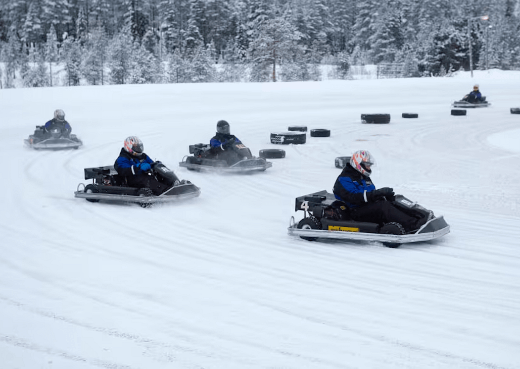 Vinter gokart