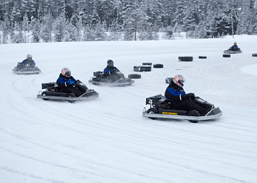 Vinter gokart